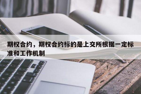 期权合约，期权合约标的是上交所根据一定标准和工作机制