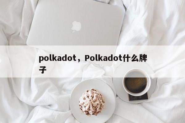 polkadot，Polkadot什么牌子