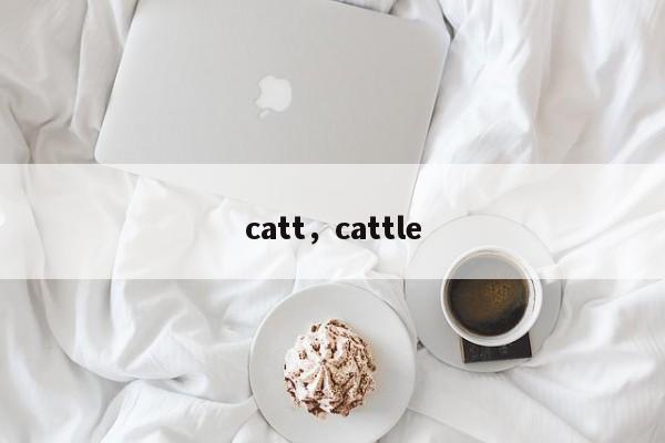 catt，cattle