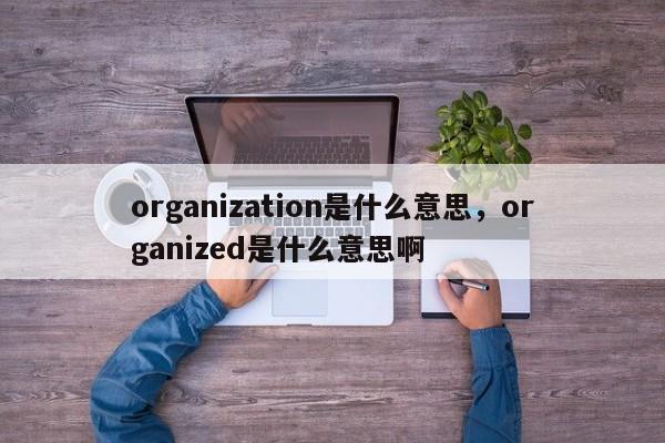 organization是什么意思，organized是什么意思啊