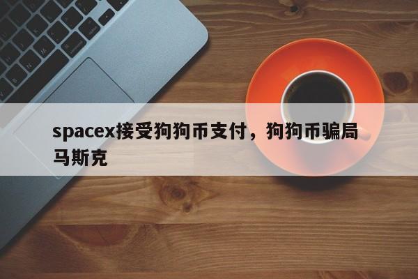 spacex接受狗狗币支付，狗狗币骗局 马斯克