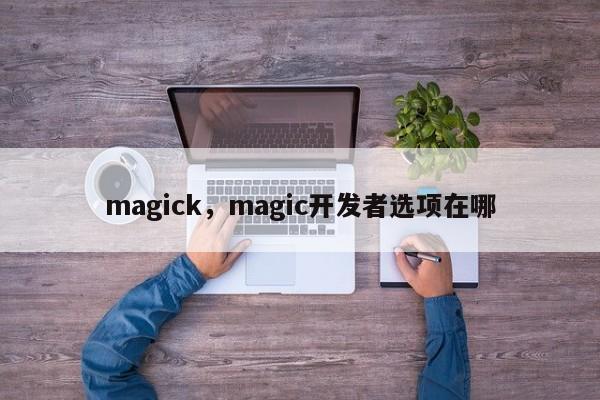 magick，magic开发者选项在哪