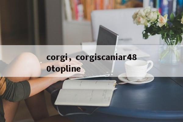 corgi，corgiscaniar480topline
