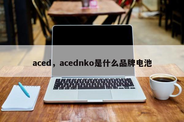 aced，acednko是什么品牌电池