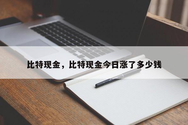 比特现金，比特现金今日涨了多少钱