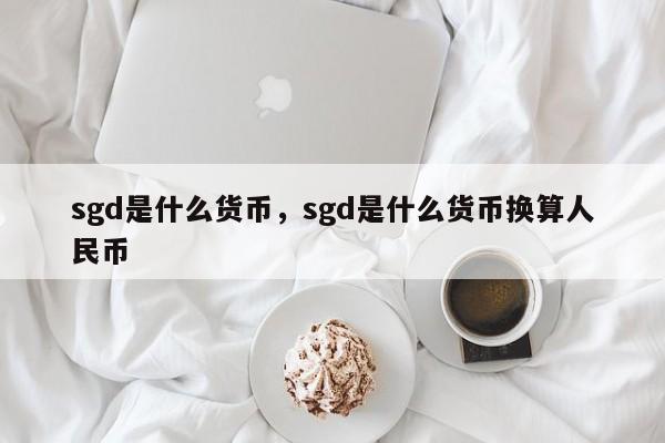 sgd是什么货币,sgd是什么货币换算人民币