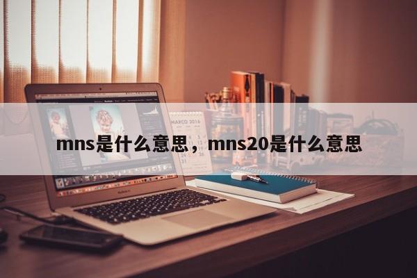mns是什么意思，mns20是什么意思