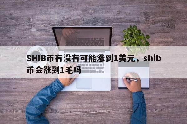 SHIB币有没有可能涨到1美元，shib币会涨到1毛吗