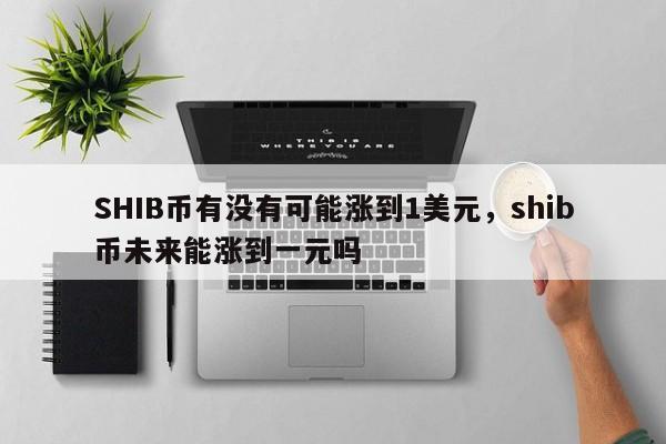 SHIB币有没有可能涨到1美元，shib币未来能涨到一元吗