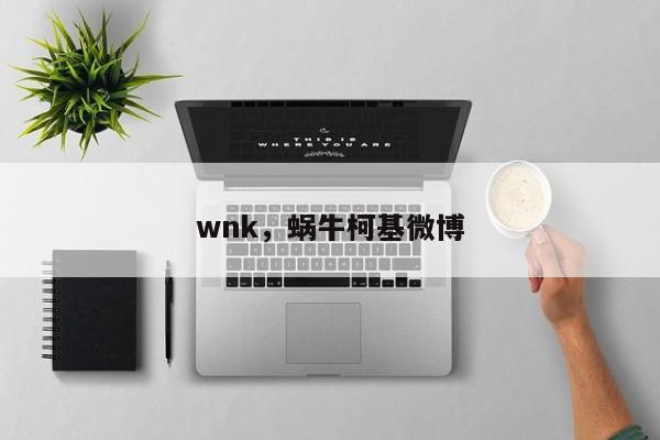 wnk，蜗牛柯基微博
