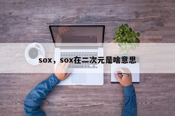 sox，sox在二次元是啥意思
