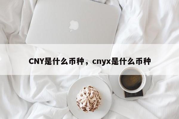 CNY是什么币种，cnyx是什么币种