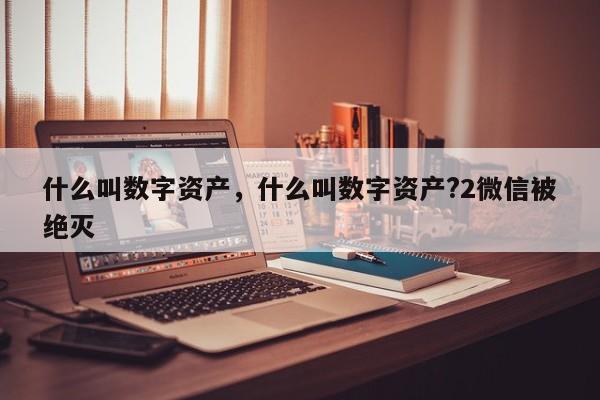 什么叫数字资产，什么叫数字资产?2微信被绝灭