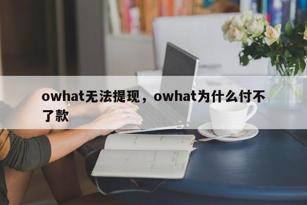 owhat无法提现，owhat为什么付不了款