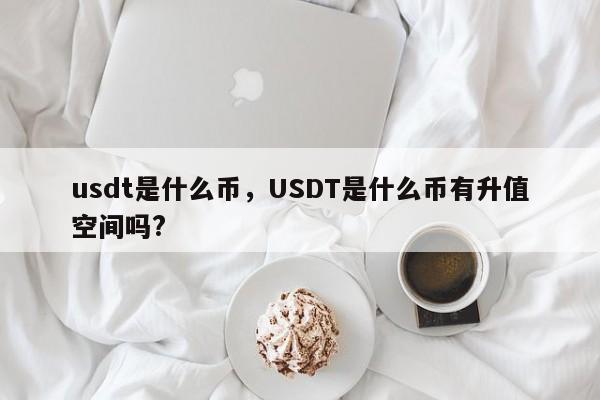 usdt是什么币，USDT是什么币有升值空间吗?