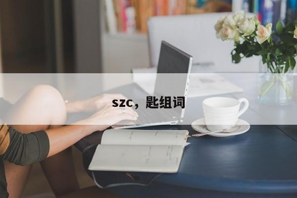 szc，匙组词