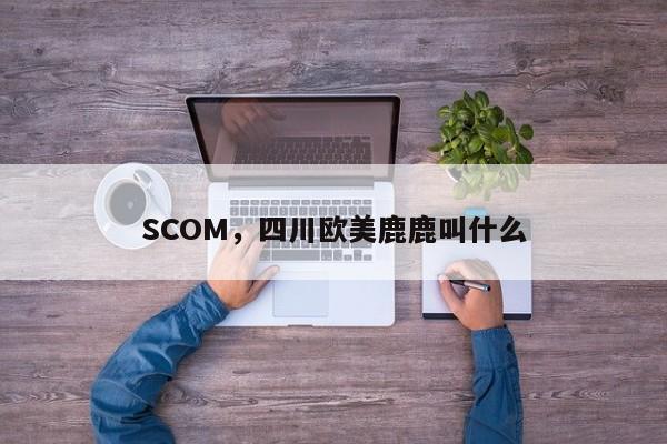 SCOM，四川欧美鹿鹿叫什么