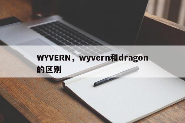WYVERN，wyvern和dragon的区别