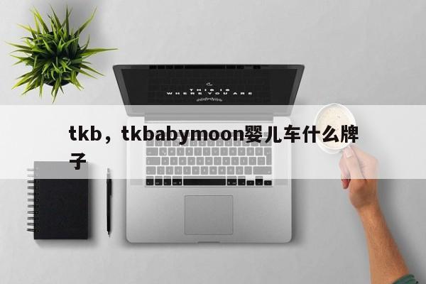 tkb，tkbabymoon婴儿车什么牌子