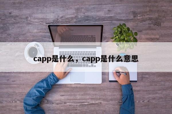 capp是什么，capp是什么意思