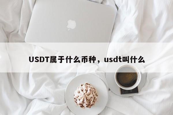 USDT属于什么币种，usdt叫什么