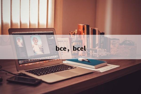 bce，bcel