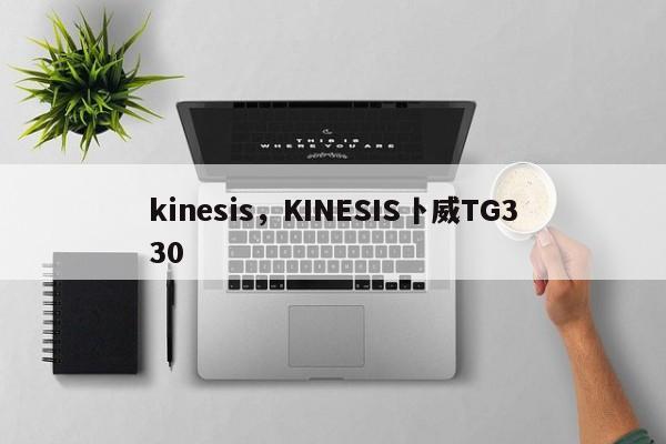 kinesis，KINESIS卜威TG330