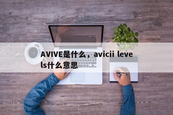 AVIVE是什么，avicii levels什么意思