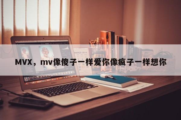 MVX，mv像傻子一样爱你像疯子一样想你