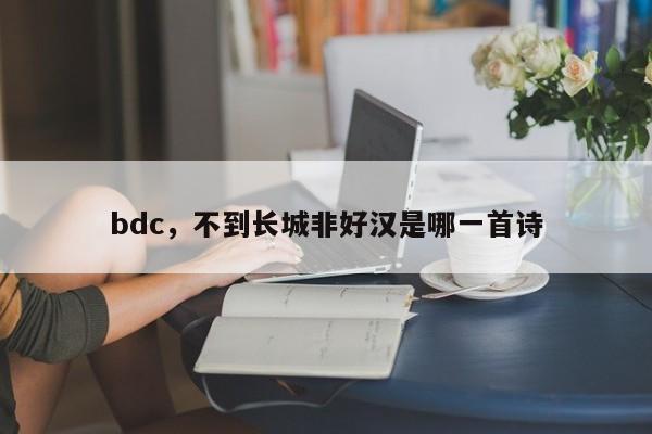 bdc，不到长城非好汉是哪一首诗
