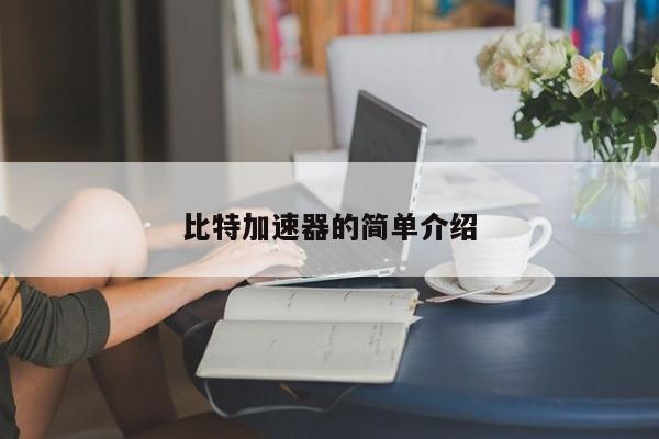 比特加速器的简单介绍