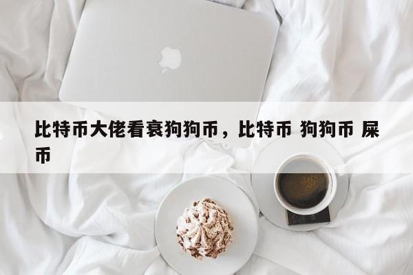 比特币大佬看衰狗狗币，比特币 狗狗币 屎币