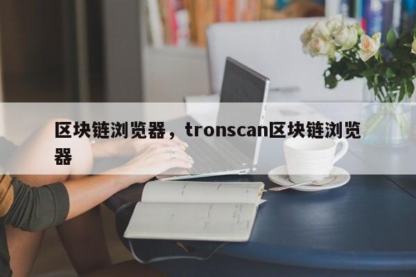 区块链浏览器，tronscan区块链浏览器