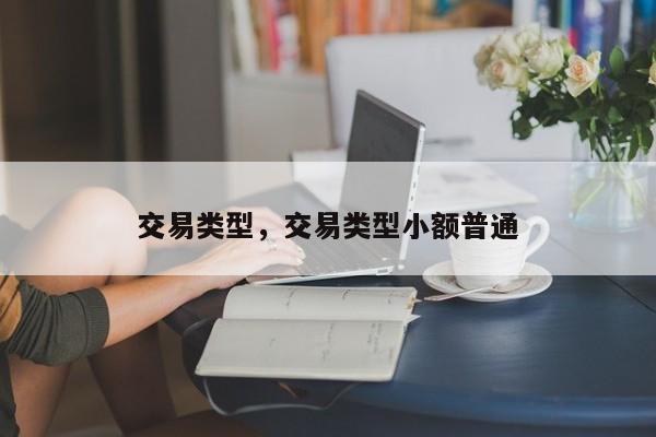 交易类型，交易类型小额普通