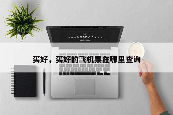 买好，买好的飞机票在哪里查询