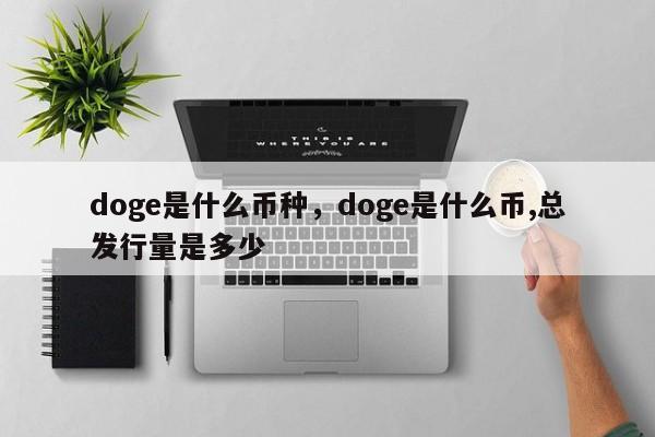 doge是什么币种，doge是什么币,总发行量是多少