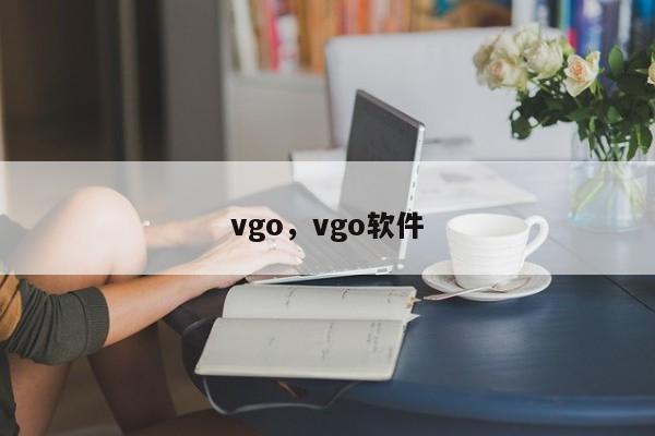 vgo，vgo软件