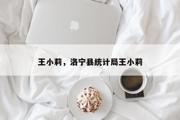 王小莉,洛宁县统计局王小莉