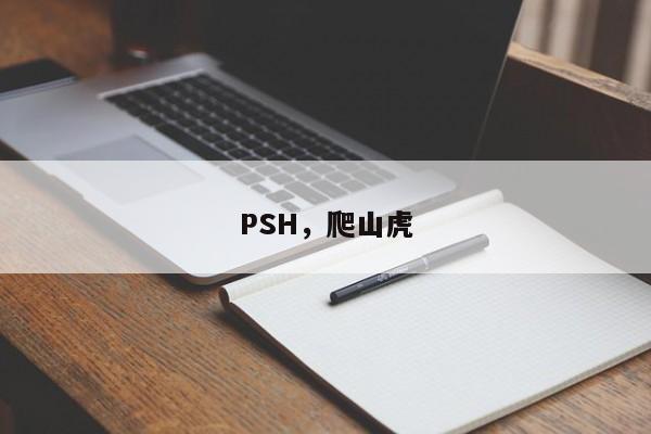 PSH，爬山虎
