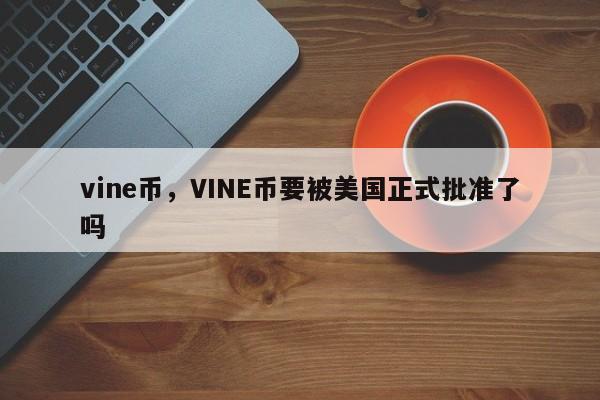 vine币，VINE币要被美国正式批准了吗