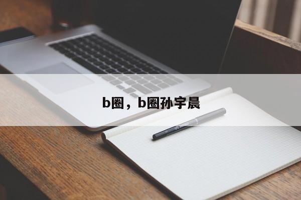 b圈，b圈孙宇晨