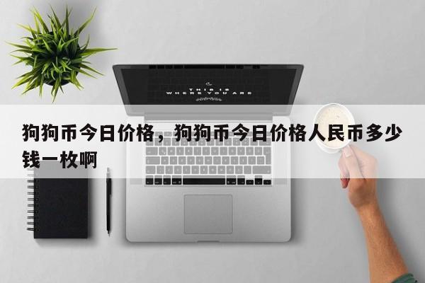 狗狗币今日价格，狗狗币今日价格人民币多少钱一枚啊