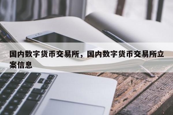 国内数字货币交易所，国内数字货币交易所立案信息