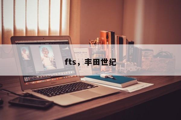 fts，丰田世纪